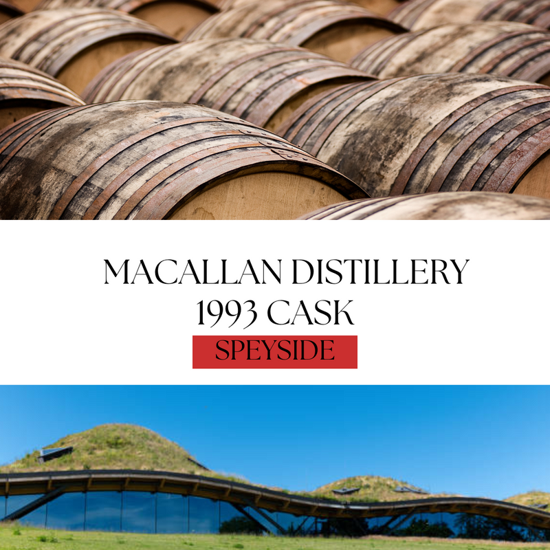 TSE Macallan 1993 Cask