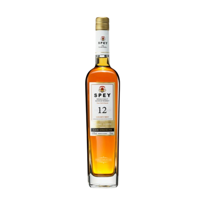 Spey Brumee Doree 12 Year Old