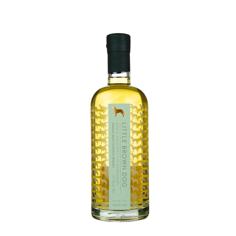 Little Brown Dog Ardmore 2013, 11 Year Old