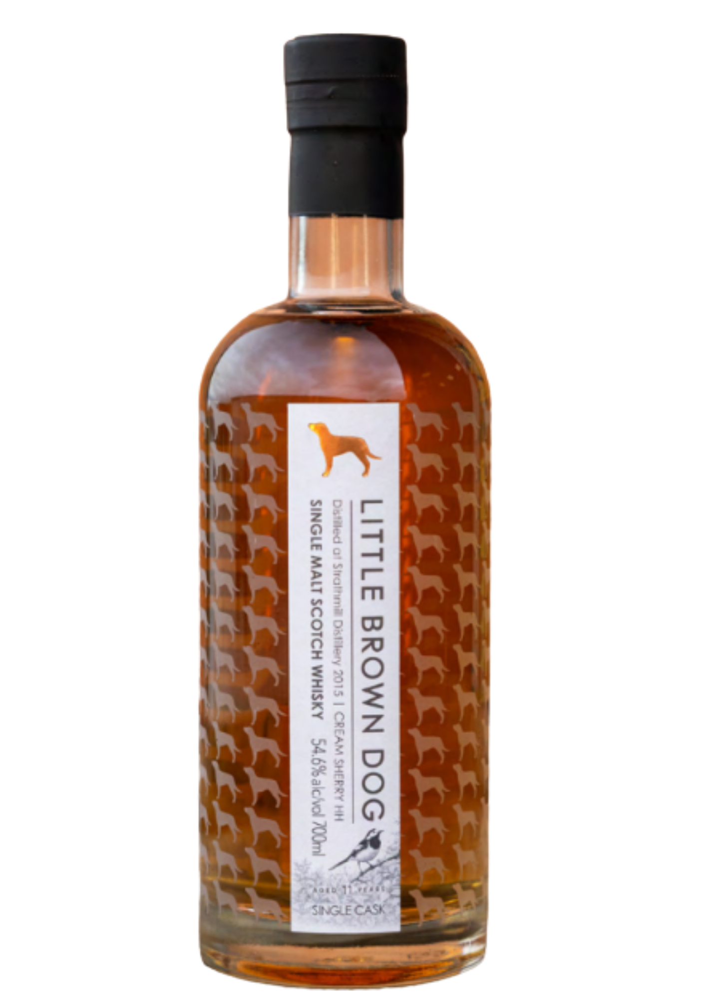 Little Brown Dog Strathmill 2015